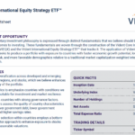 VIDI Q1 2025 factsheet